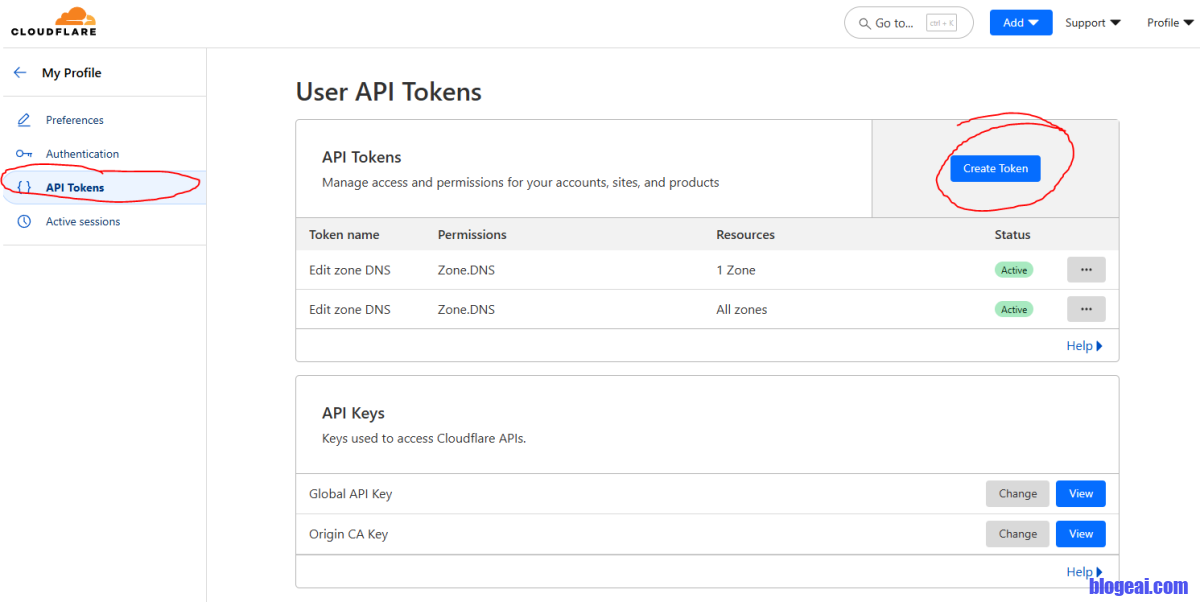 Hướng Dẫn Lấy Zone ID và Tạo API Token Trên Cloudflare Nhanh Chóng, Đơn Giản
